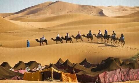 ولاية جهة درعة تافيلالت:احتفالات رأس السنة بمرزوكة مرت في أجواء عادية ولم يتم تسجيل أي حادث