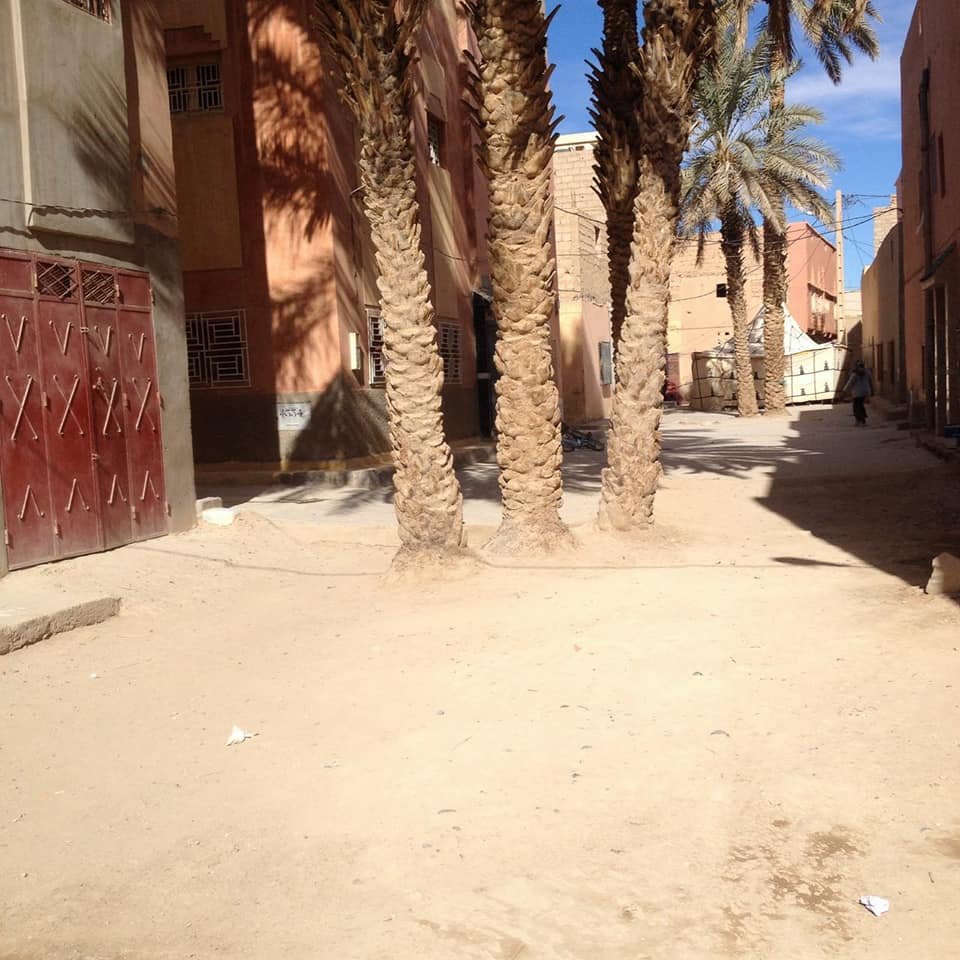 أرفود: الساكنة تطالب والي الجهة بتفعـيـل قـرار رقـم 05/2010 بتاريخ 25/06/2010 القاضي بنزع اشجار النخيل التي تتوسط الأزقة