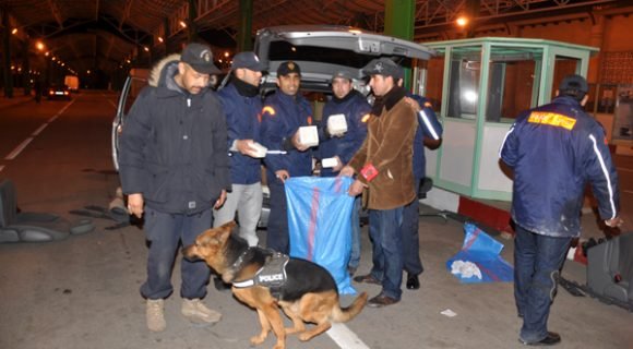 طنجة المتوسط : حجز 40 كيلوغراما من مخدر الشيرا على متن شاحنة للنقل الدولي