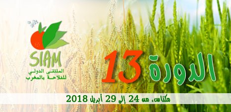 المناظرة العاشرة للفلاحة بمكناس : الدعوة إلى بلورة ميثاق فلاحي جديد لحل معضلة بطالة الشباب في أفريقيا