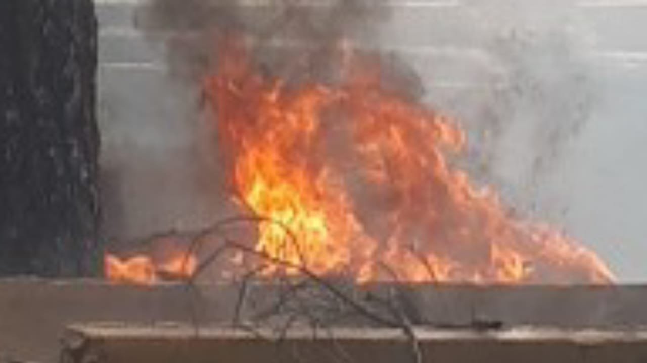 عاجل:حريق يشب بمركز الاستثمار الفلاحي واد الذهب بالرشيدية