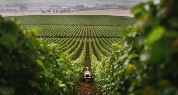 مشروع كبير لبناء مزرعة في الصحراء المغربية