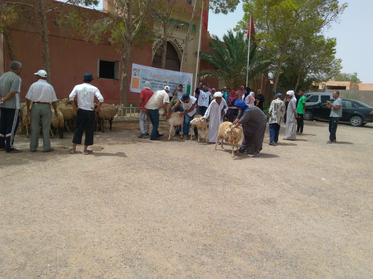 توزيع اضاحي العيد على الفئات المعوزة بإقليم فكيك