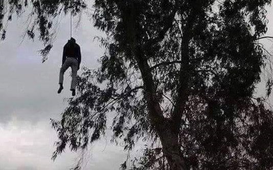 عاجل:العثور على جثة شاب معلق بشجرة بتنكيبت الخنك الرشيدية