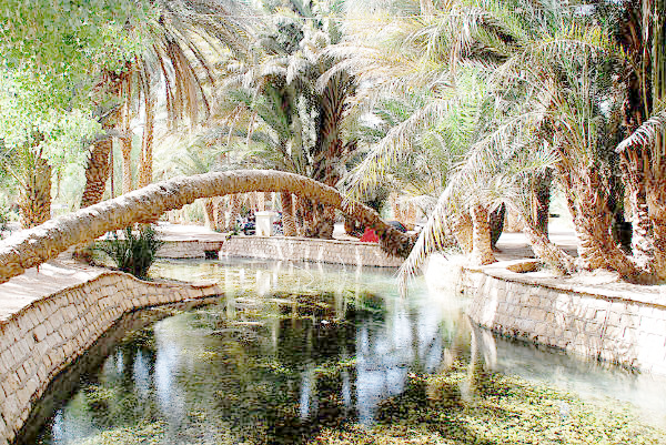 أحوال الطقس ليوم السبت