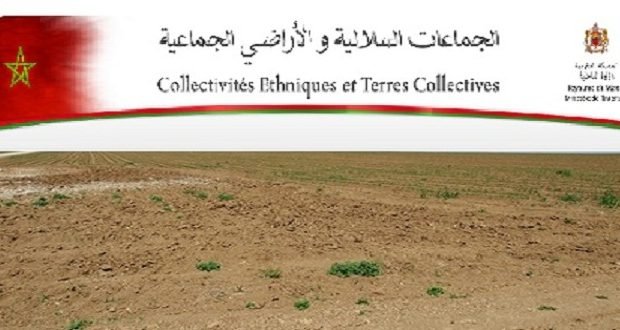 مجلس الحكومة يصادق على مشاريع قوانين أراضي الجماعات السلالية