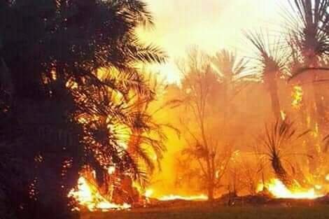 حريق مهول يندلع بغابة أوفوس