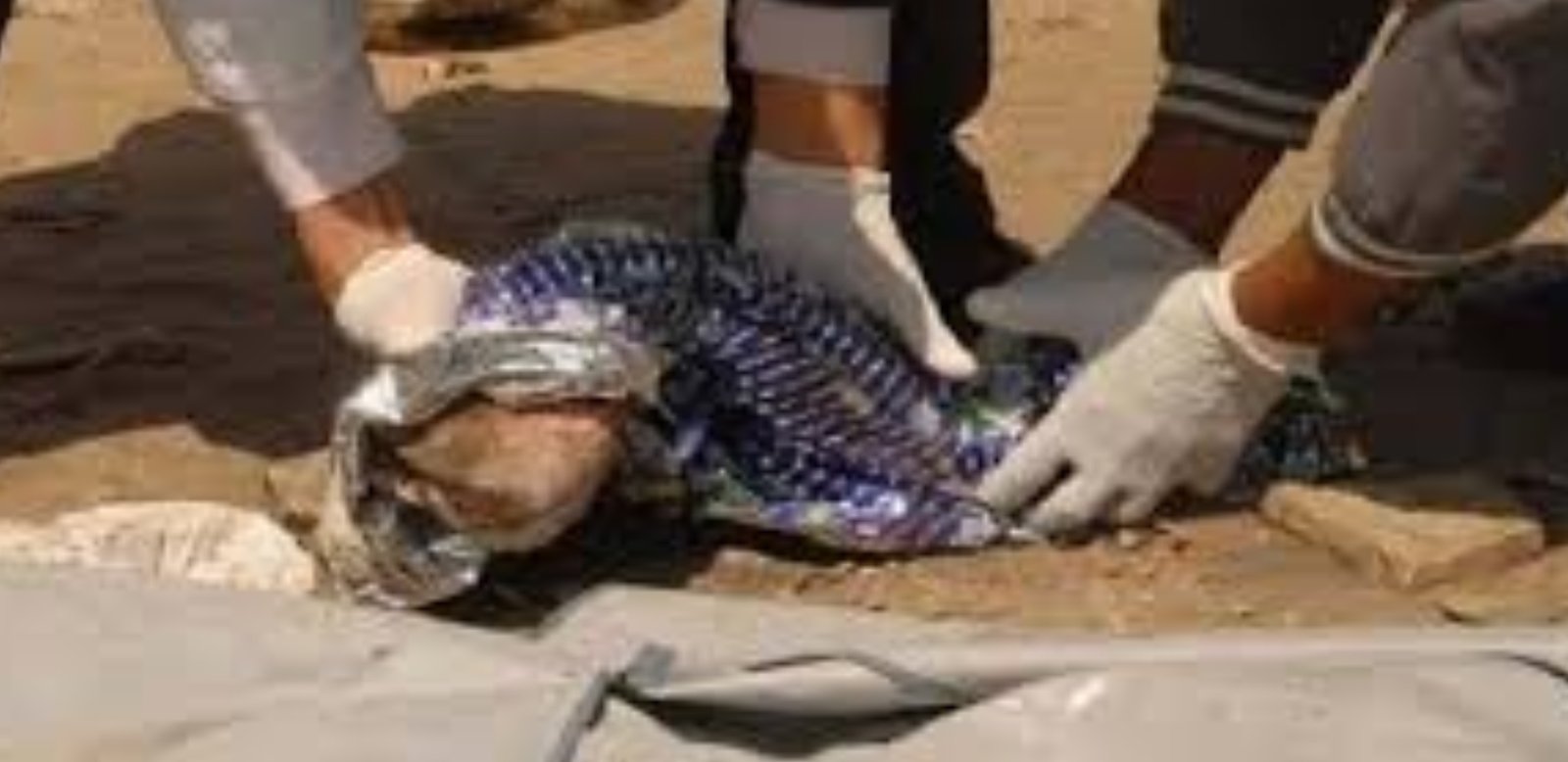 خطير،العثور على جثة رضيع حديث الولاد بمطرح للأزبال بميدلت