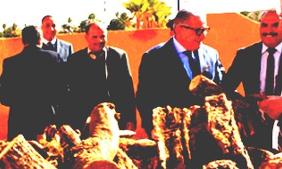 الرشيدية:والي جهة درعة تافيلالت يشرف على  تتبع إنجاز التدابير المتخذة على مستوى قطاع التعليم للتخفيف آثار موجة البرد