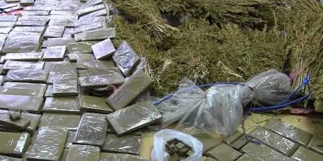 عاجل كلميمة حجز 311 كلغ من مخذر” الكيف” و 25 كلغ من مسحوق” طابا”….