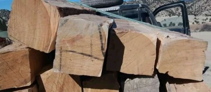 تونفيت: المدير الاقليمي للمياه والغابات في زيارة مفاجئة لدوار “أيت اشعا وعلي” تكشف المستور