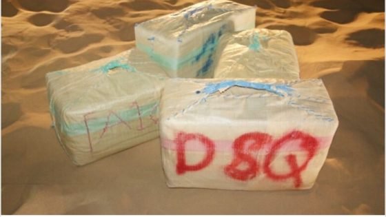 أمن العيون يفكك شبكة للتهريب الدولي للمخدرات