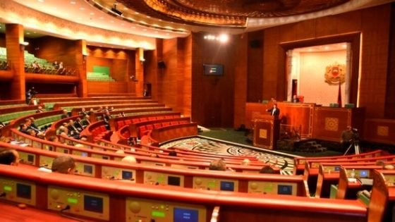 الباجدة يقدم مقترح قانون يهدف لتمكين ضحايا زلزال الحوز من تعويضات الوقائع الكارثية