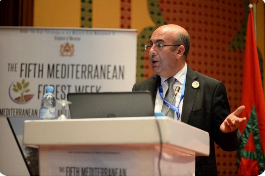 بموافقة ملكية.. عبدالرحيم الهومي مديرا بالنيابة للوكالة الوطنية للمياه والغابات