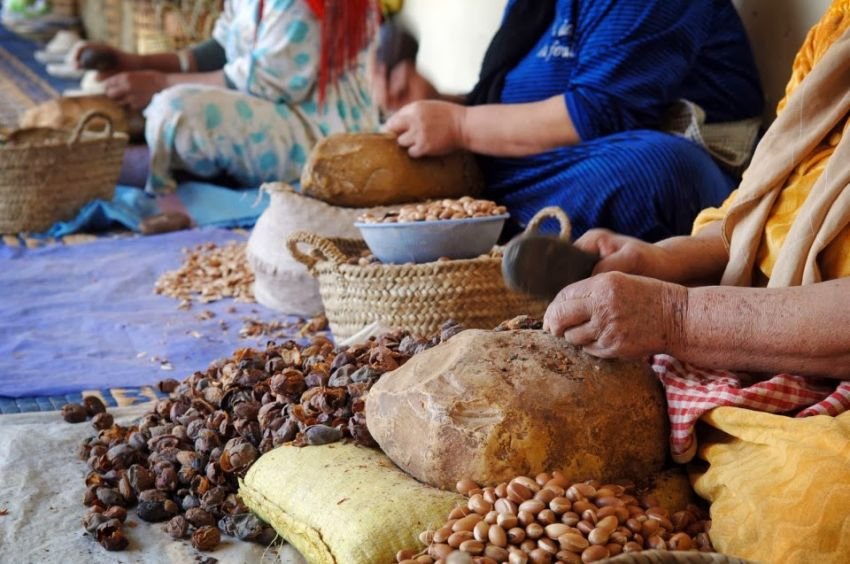 لقاء تكويني لفائدة تعاونيات نسائية بتنغير