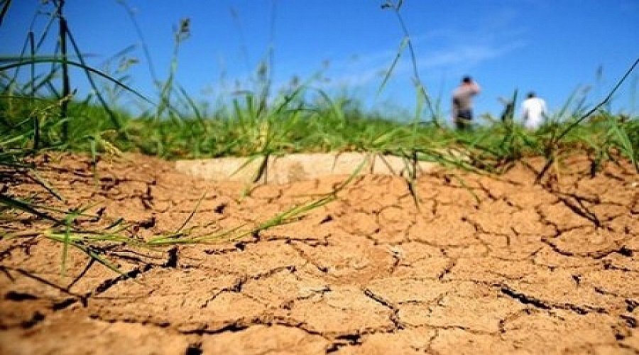 منذ 40  عاما.. المغرب يواجه أسوء موسم جفاف