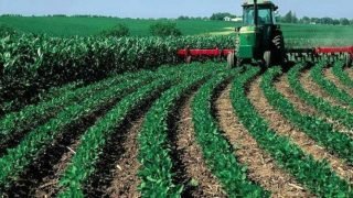 الزراعات المثمنة للماء والبحث العلمي وترشيد الموارد المائية أهداف أساسية للقطاع الفلاحي