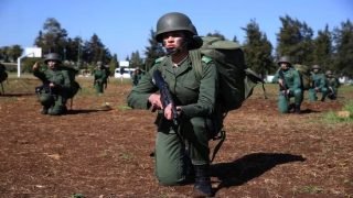 ارتفاع عدد الشباب والإناث من متطوعي الخدمة العسكرية 2022