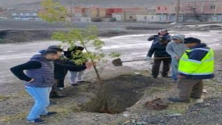 مبادرة بيئية ثانية للتشجير ببلدة تونفيت