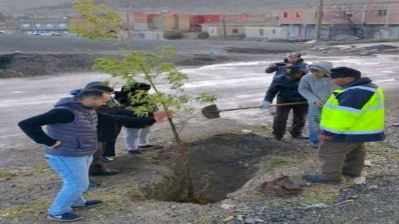 مبادرة بيئية ثانية للتشجير ببلدة تونفيت