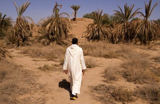 الظروف الجوية غير المواتية سبب رئيس في شح التساقطات المطرية بالمغرب