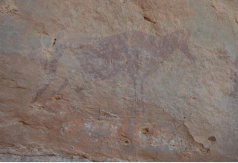 العثور على اكتشافات أثرية ترجع إلى فترات ما قبل التاريخ في السمارة