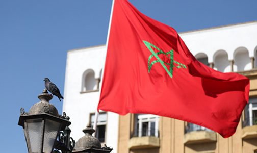 الأيام الوطنية للمغتربين الأفارقة تؤكد ريادة الملك في إيجاد حلول إفريقية لمشاكل إفريقيا