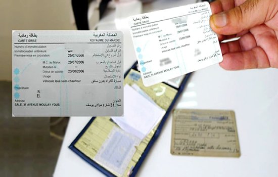 تقريب الإدارة من المواطنين.. مؤسسات البريد تمنح البطاقة الرمادية