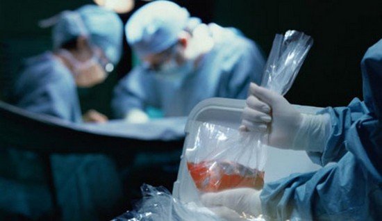 خطير.. القبض على شبكة إجرامية..!!