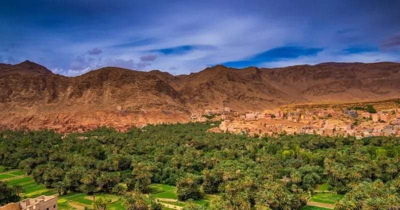 اتفاقية تمويل وإنجاز مشروع محاربة الحرائق وتهيئة واحات درعة تافيلالت تدخل حيز التنفيذ