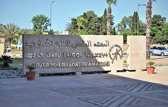 المعهد الملكي للثقافة الأمازيغية يقدم تطبيقين رقميين جديدين