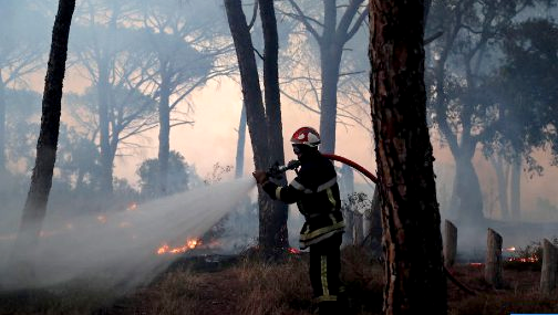 مصرع 3 أفراد من الوقاية المدنية في حريق غابوي بالمضيق