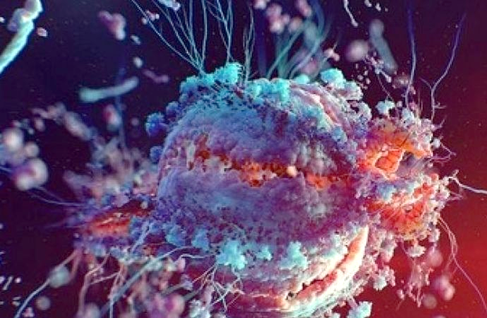 ما فيروس لانجيا الذي ظهر في الصين؟