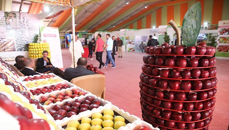 النسخة الثانية للملتقى الوطني للتفاح بميدلت رافعة للارتقاء…