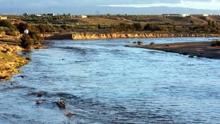 درعة- تافيلالت.. التساقطات المطرية الأخيرة سيكون لها تأثير إيجابي على الموسم الفلاحي