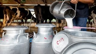 تعرف على تدابير وزارة الفلاحة لتجاوز مشكل نقص الحليب