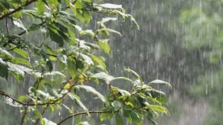 تساقطات مهمة تحيي آمال الفلاحين وتنعش حقينة السدود