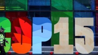 توصل كندا ودول العالم إلى اتفاق تاريخي بشأن التنوع الحيوي في مؤتمر “كوب 15” بمونتريال