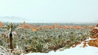 طقس بارد وصقيع في عدة مناطق اليوم الأربعاء