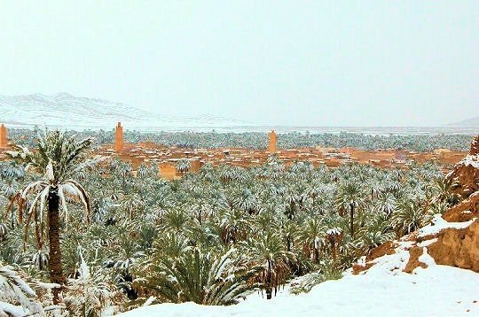 طقس بارد وصقيع في عدة مناطق اليوم الأربعاء