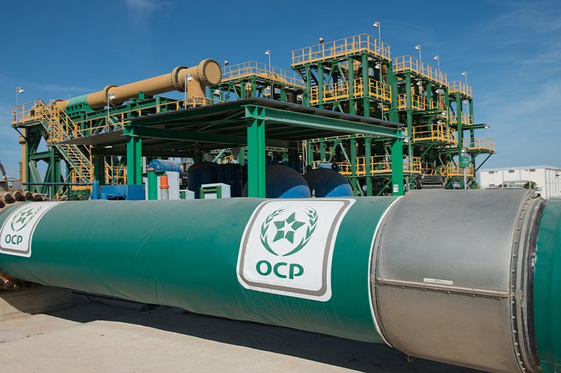 ال OCP يضخ ميزانية مهمة في خزينة الدولة