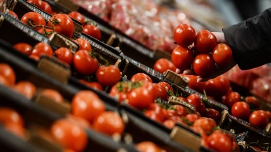 الحكومة تتوعد “سماسرة الطماطم” بإجراءات صارمة قبل رمضان