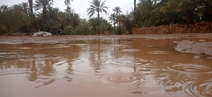 خبير.. الأمطار الرعدية المسجلة بمدن الجنوب الشرقي ستجنب الساكنة شبح العطش