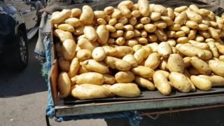 ببيع 150 طن من البطاطا مصادرة بأمر قضائي بثمن مثير للجدل