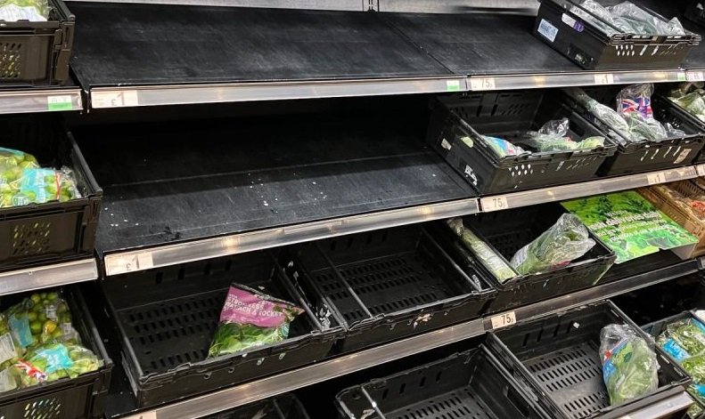 متاجر بريطانية تحدد لكل مواطن شراء حبتين فقط من الطماطم المغربية