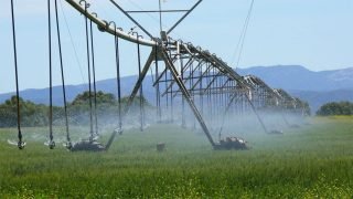 شركة فلاحية إسرائيلية تفتح فرعاً لها بالمغرب