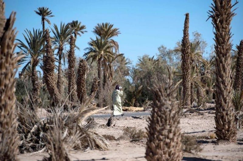 طقس حار نسبيا اليوم الأربعاء في مناطق متعددة
