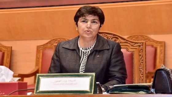 مجلس العدوي ينشر غسيل وكالة “نارسا”