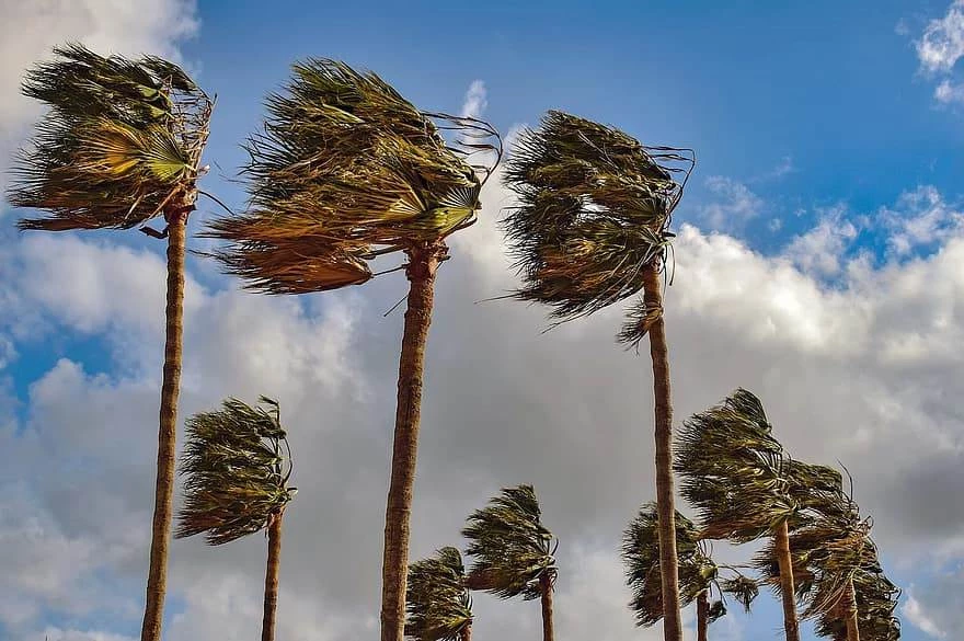 نشرة إنذارية : رياح مرتقبة بعدد من المناطق