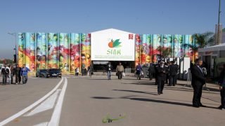 الملتقى الدولي للفلاحة بالمغرب يكشف عن جناح قرية المقاولات الناشئة، قطب جديد في خدمة فلاحة الغد